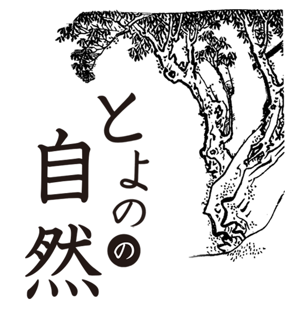 とよのの自然
