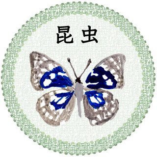昆虫