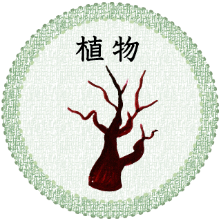 植物