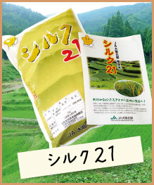 シルク21