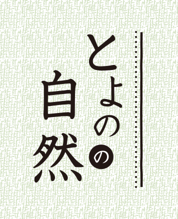 とよのの自然